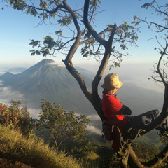 Bayu Aji
