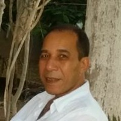 Elsaid Almowafy