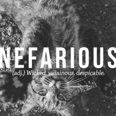 NEFARIOUS