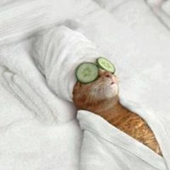 good look