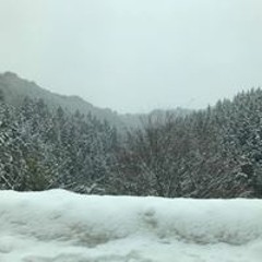 かんなー せい