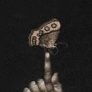 🔴 Tummetott & DirdyGerdi