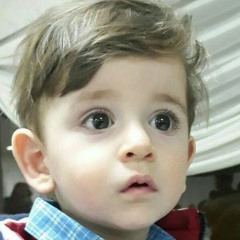 hamid javadi