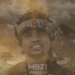 Muzi Mnisi