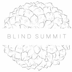 BLIND SUMMIT