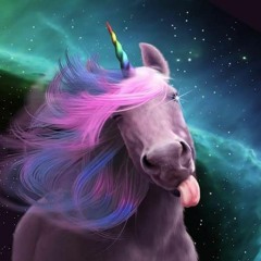 Dominique van Ophuizen