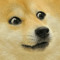 The Random Doge