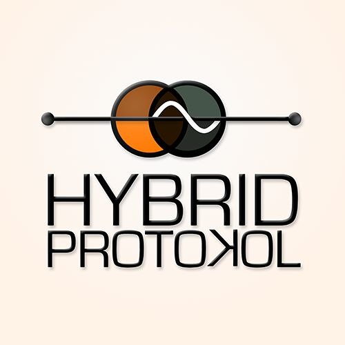 Hybrid Protokol’s avatar