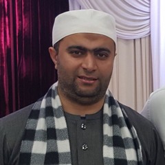 alaa elbadawi