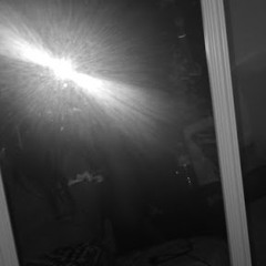 tabybear204