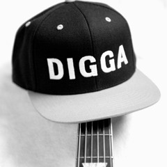 LNR DGB | Diggaistin