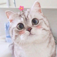Vi