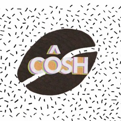 Recordiau Côsh Records