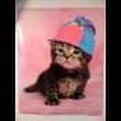 robinsnop