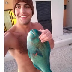 Alex Vezza