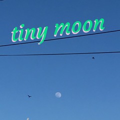 tiny moon