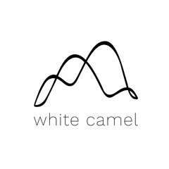 White Camel