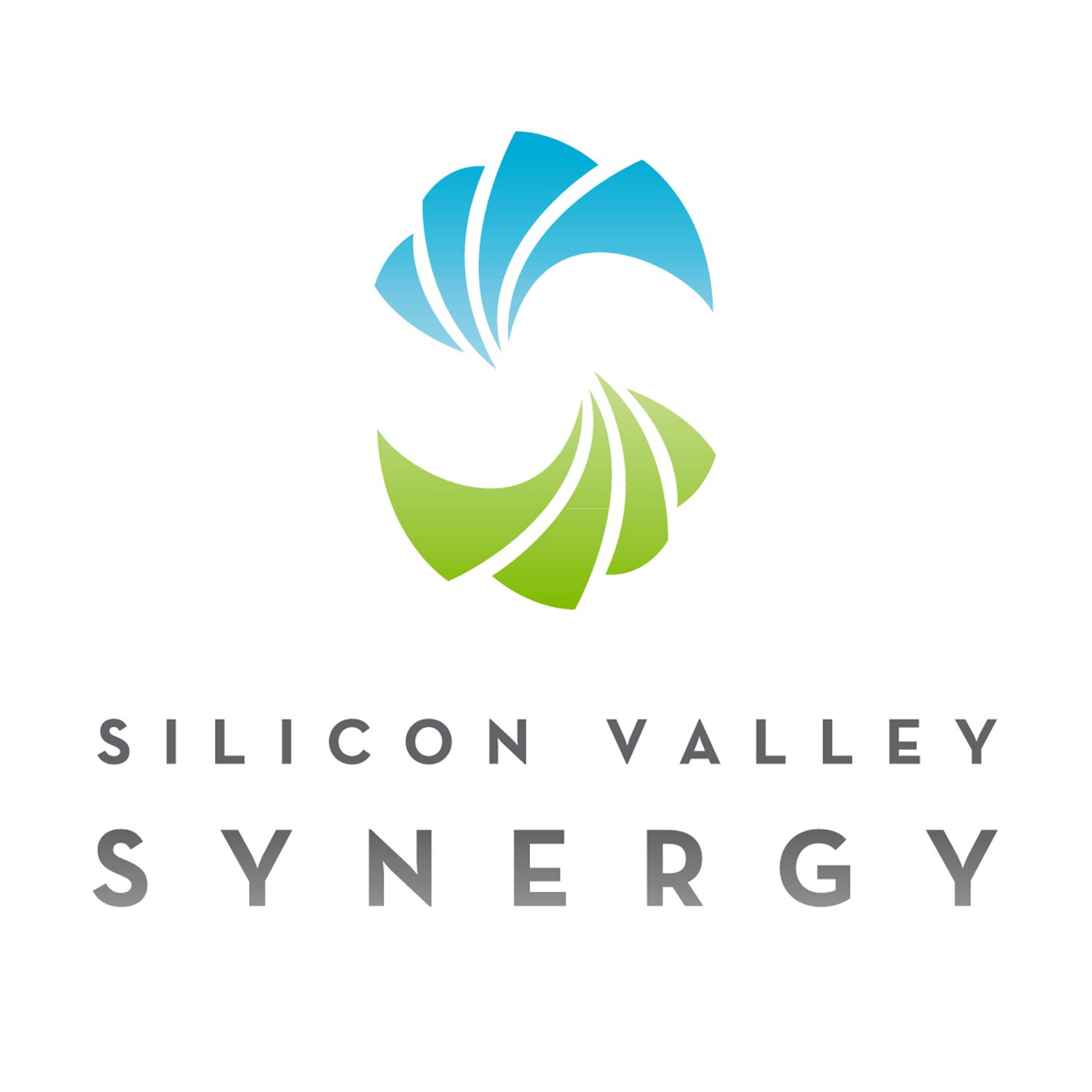 Silicon Valley Synergy Podcast Ep. 2