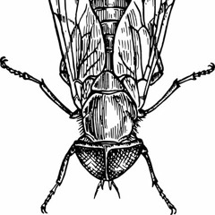 Not Without Nuance Podcast