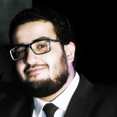 Mahmoud El Melegy
