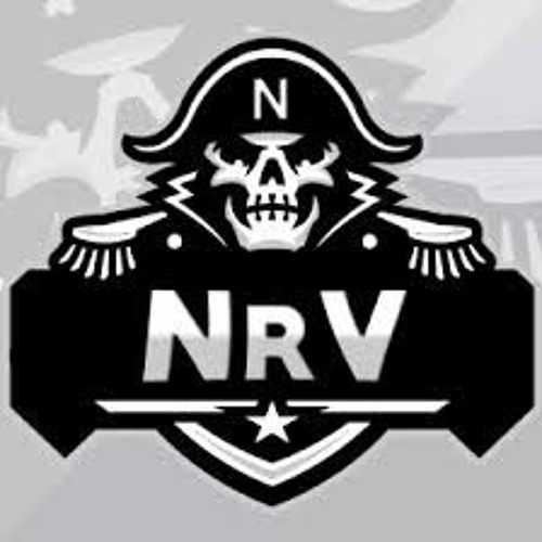 Neurovibes (NRV)’s avatar