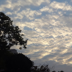 엘첼