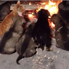 Nguyễn Minh Đức