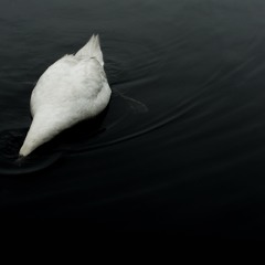 BeStillMyWistfulHeart