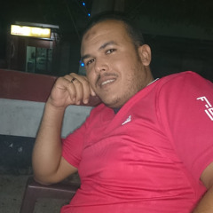 محمود الشيخ