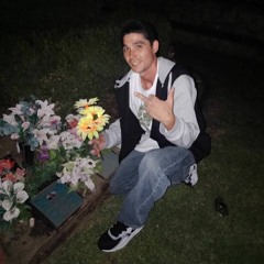 Michael Mizets Nelson