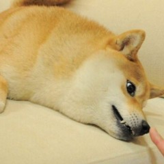 DogeThis