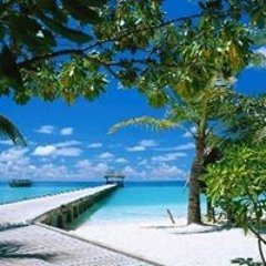 Ahmed Ahmed