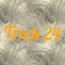 treck2005z