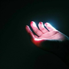 المغردة خارج السرب