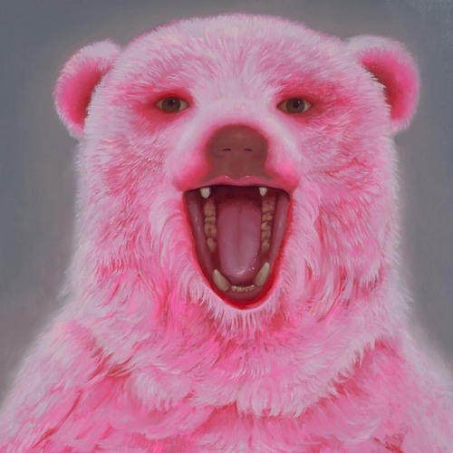 Oso rosado’s avatar
