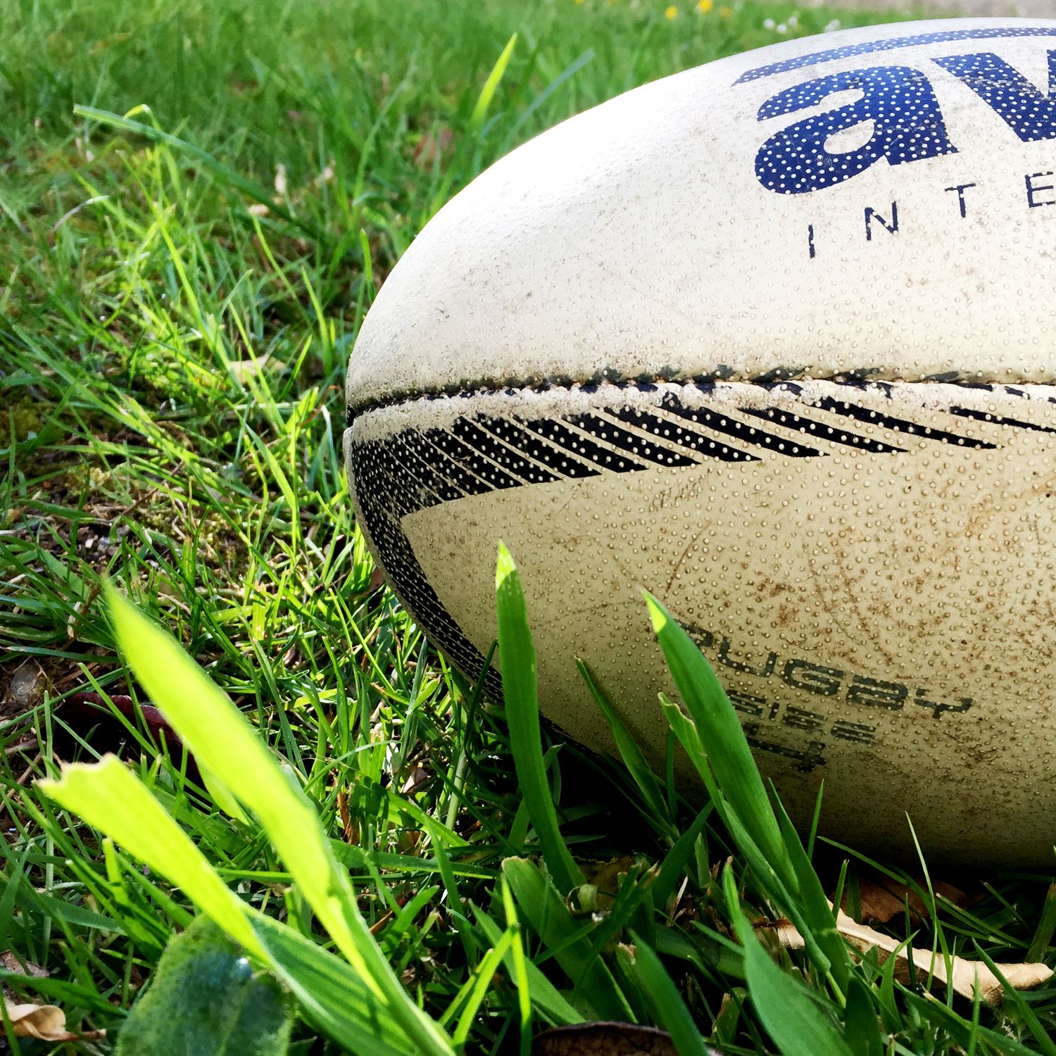The Canes Cast: Unofficial Hurricanes Rugby podast