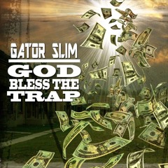 Gatorslim251
