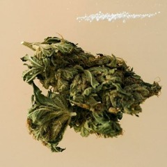 WreckRoom Productionz