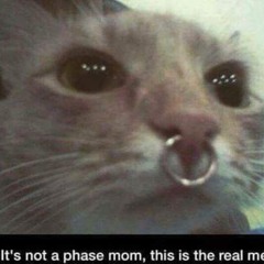 11111