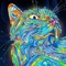 Cykra second account