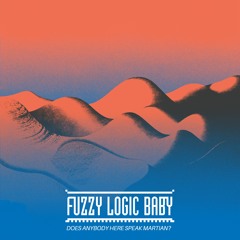 FuzzyLogicBaby