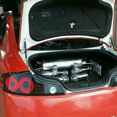 Taylor            Proctor