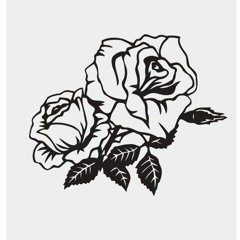 trevorjosephjohnston