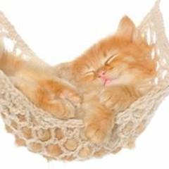 Ayh Ebraheem Eltawel