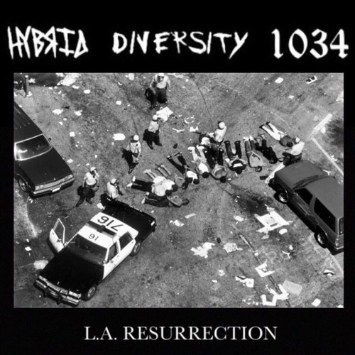 Haunting Void To Come/I'm Through - Hybrid