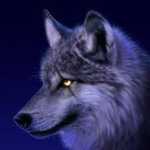 Nightwolf YT’s avatar