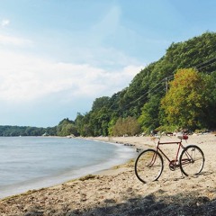 Elizabeth Porterfield