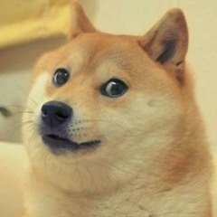 dogga 1337
