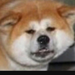 User 400116941