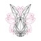 Wakusei Rabbit